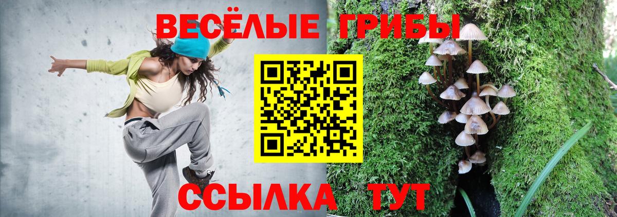 Ликино-Дулёво  Псилоцибиновые грибы MAGIC MUSHROOMS  Вход с VPN  Галлюциногенные грибы мухоморы 