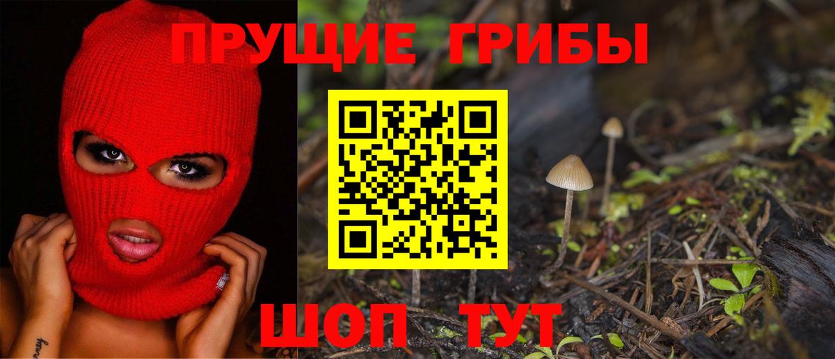 Псилоцибиновые грибы GOLDEN TEACHER Ликино-Дулёво